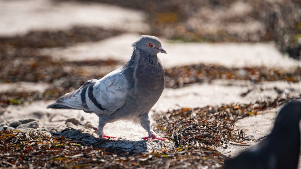 �������� ������: ��� ��. ��� �����. ��� ���