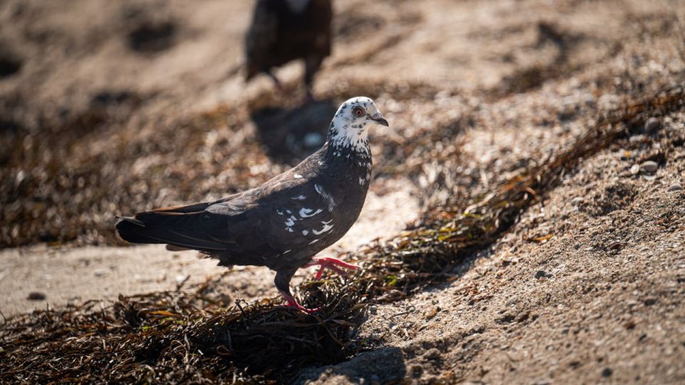 �������� ������: ��� ��. ��� �����. ��� ���