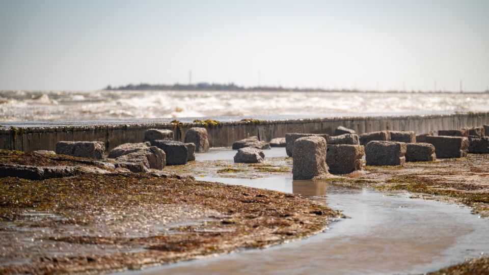 �������� ������: ��� ��. ��� �����. ��� ���