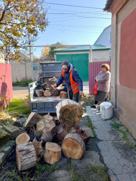 Владимир Сальдо: Помогли с дровами жительнице Геническа