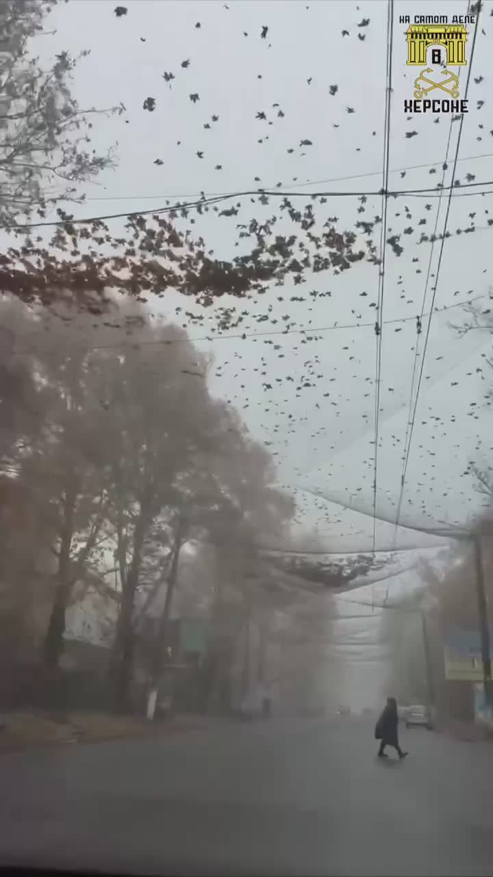 Осенняя меланхолия…. Город, когда-то полный сил и света, как будто застыл в меланхоличном молчании