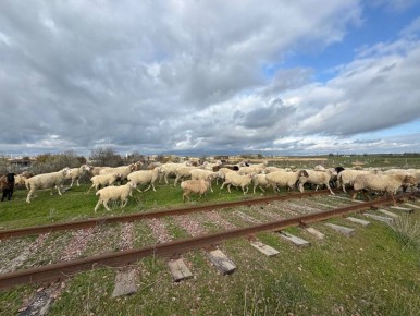 Ольга Симанова: Сегодня открылась совершенно необычная Евпатория и ее окрестности