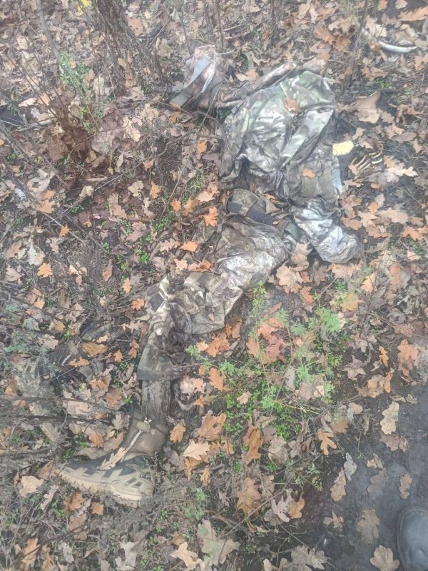 ����� � ������. ��������-����� ���������� �������