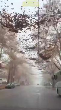 Так сейчас во временно оккупированном Херсоне