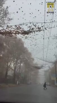 Осенняя меланхолия…. Город, когда-то полный сил и света, как будто застыл в меланхоличном молчании