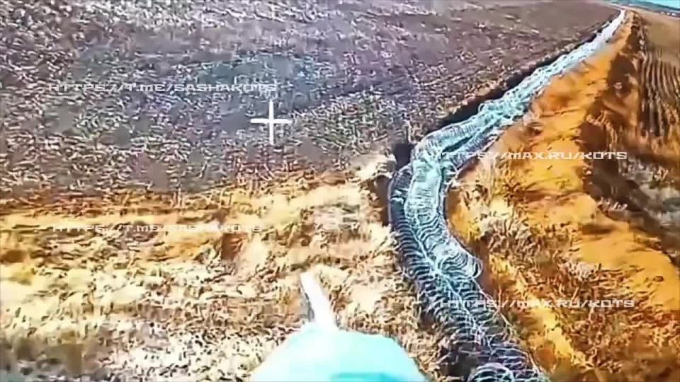 ��������� ���: ������ � ���������. ����������� ������ ��������