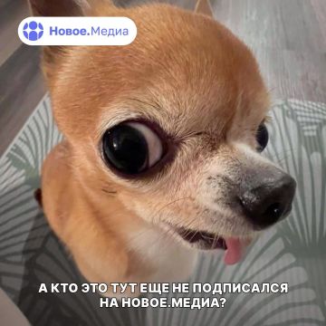 Всё ещё не подписался на Новое.Медиа в Херсонщине?