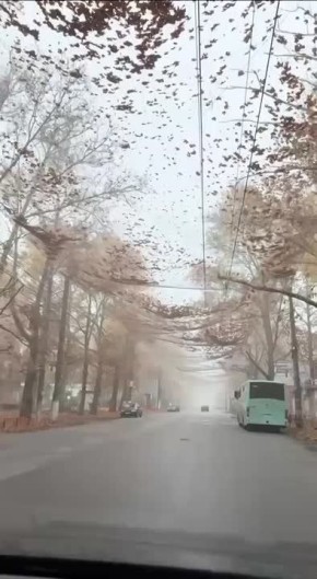 Осень в Херсоне - под антидроновыми сетками…