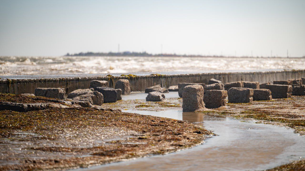Наш юг. Наш берег. Наш дом Наш юг. Наш берег. Наш дом
