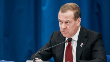 Медведев рассказал о помощи молодогвардейцев в восстановлении Новороссии