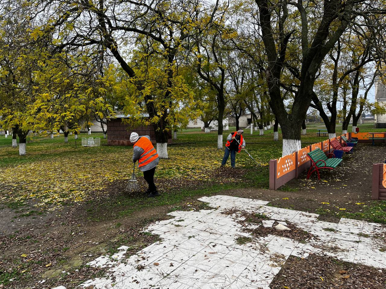 В Павловском ТО каждый день наводят порядок и дарят тепло В Павловском ТО каждый день наводят порядок и дарят тепло
