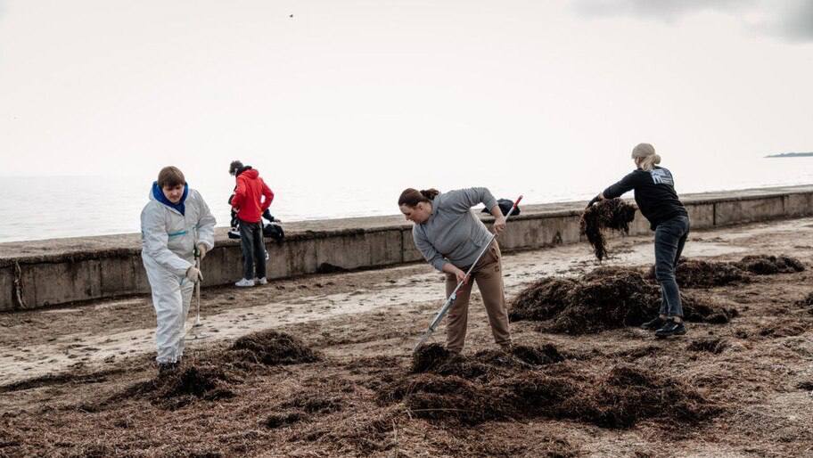 Студенты ХТУ провели экосубботник на городском пляже Геническа