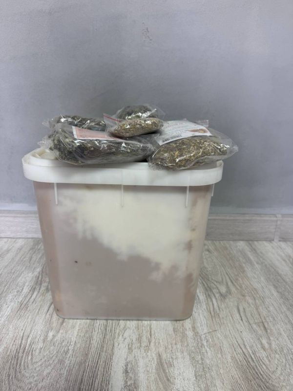 ����� ��������: � ��� � ���������� ������� ������ ������ �� ������ ��������, � ��� ����� � �� �����-��������