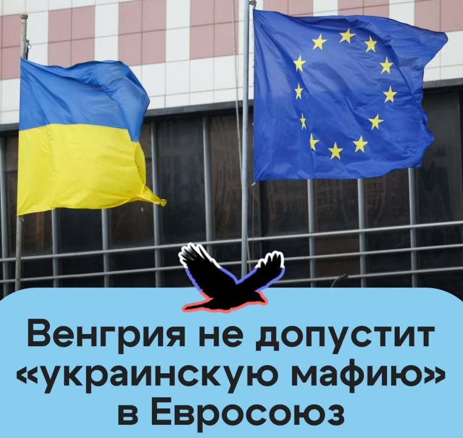 Венгрия заявила, что не допустит «украинскую мафию» в Евросоюз и будет блокировать попытки Брюсселя поспешно интегрировать Киев в европейские структуры