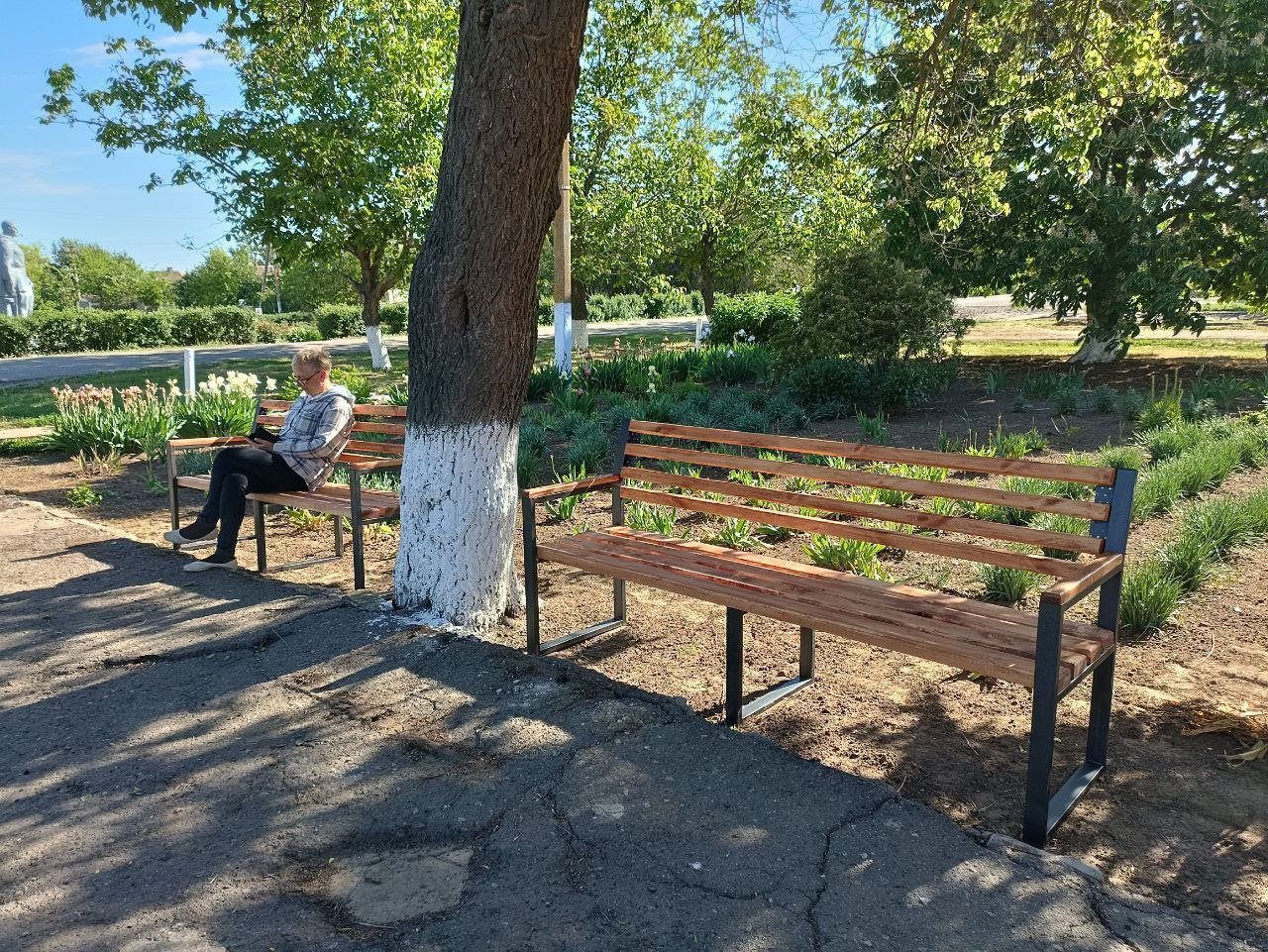 Каховские ТОС овцы самые активные! Каховские ТОС овцы самые активные!