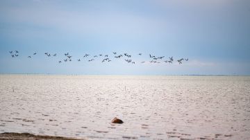 Погода на 17 ноября:. Херсонская область: Облачно с прояснениями