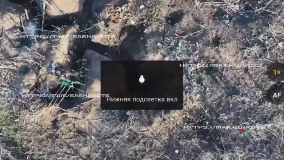 ������ � ���������. ����������� ������ ��������