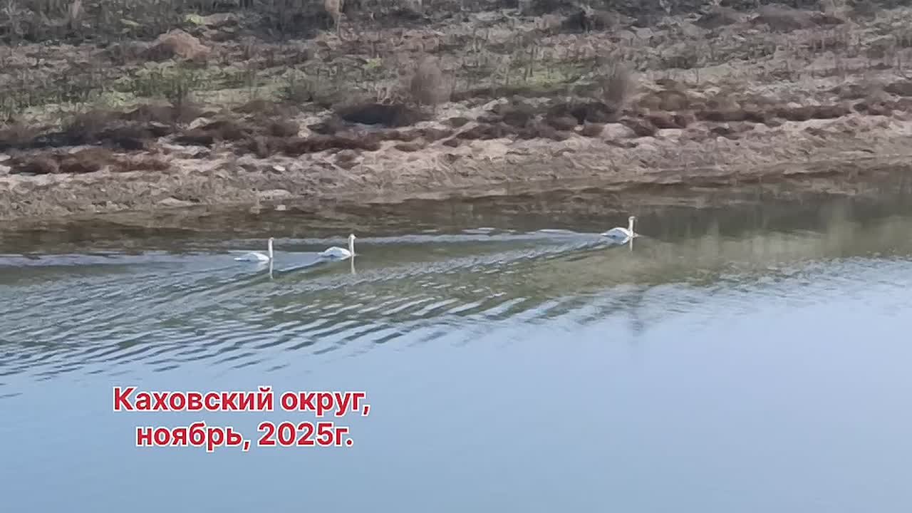 Доброе утро, жители Каховского муниципального округа!