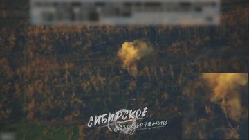 Расчёты гсадн «Сибирского объединения» нанесли огневое поражение высокоточными боеприпасами «Краснополь» по малоразмерным, но критически важным укреплениям 32 омбр ВСУ на обороняемом участке