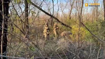 Российские военнослужащие ежедневно уничтожают БПЛА ВСУ в Херсонской области