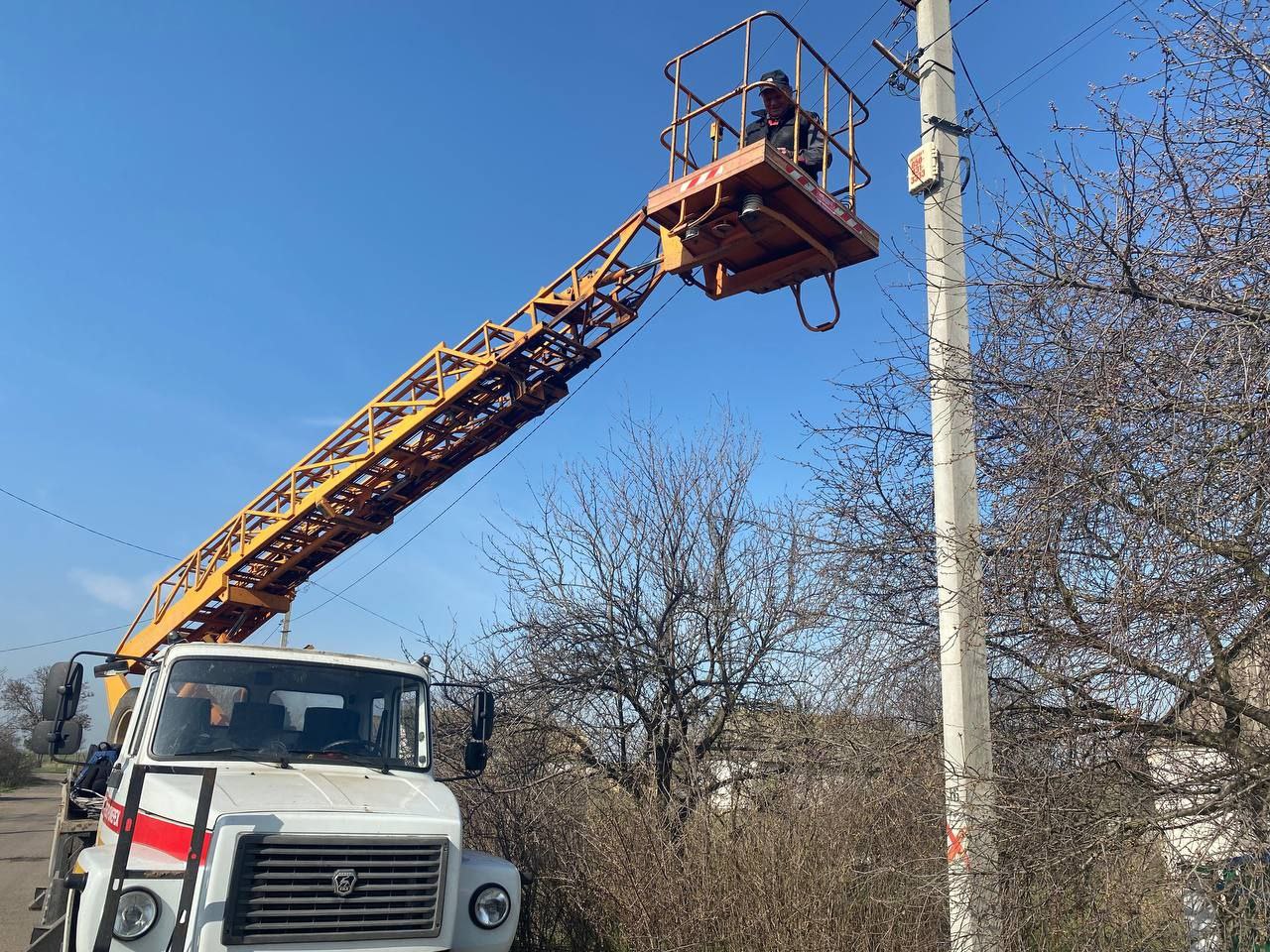 Каховские ТОС овцы самые активные! Каховские ТОС овцы самые активные!