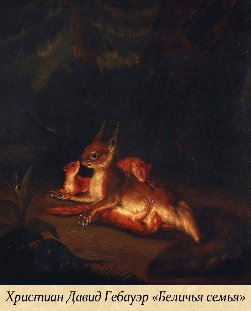 17 ноября - Международный день белки 17 ноября - Международный день белки