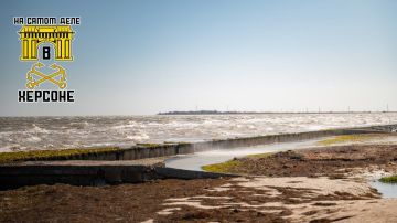 Наш юг. Наш берег. Наш дом