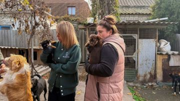 Московский зоопарк и заповедник «Аскания-Нова» будут обмениваться специалистами