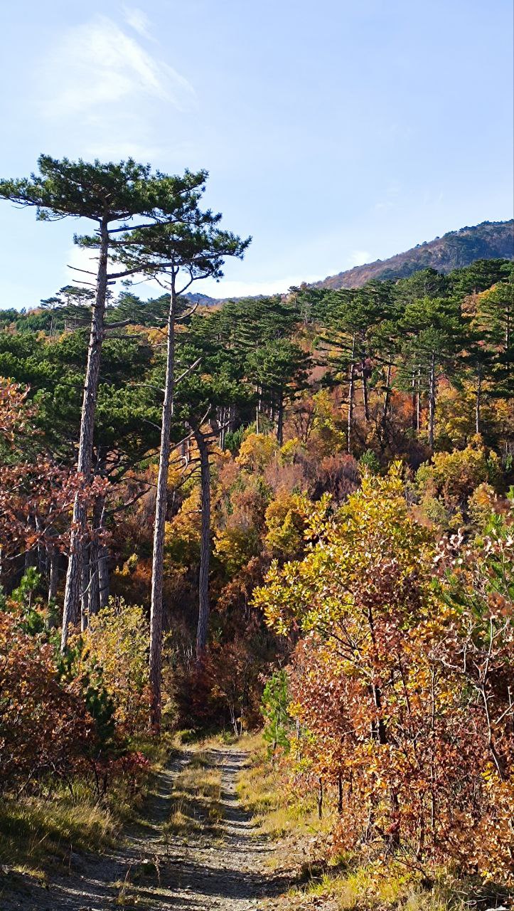 Завершим день красивыми пейзажами Завершим день красивыми пейзажами
