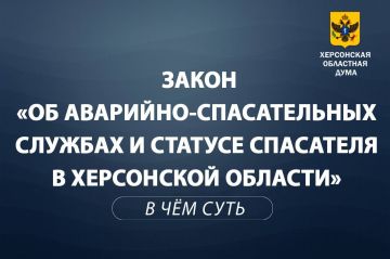 Объясняем суть за 1 минуту: Закон об аварийно-спасательных службах и статусе спасателей в Херсонской области