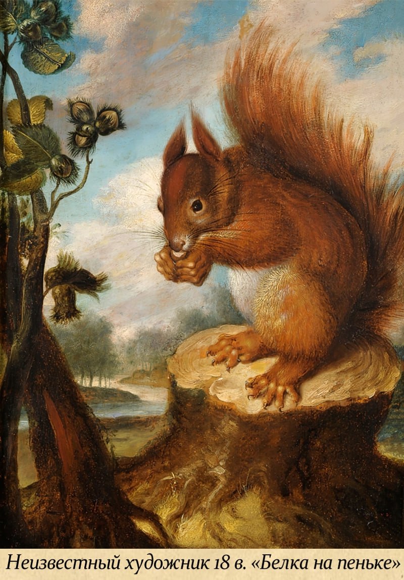 17 ноября - Международный день белки 17 ноября - Международный день белки