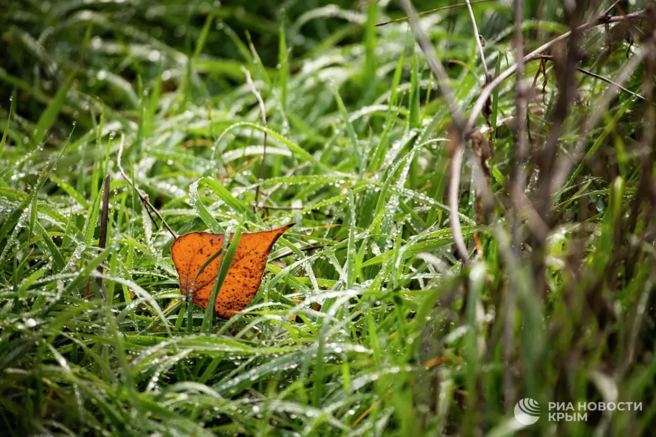 Погода на новых территориях России