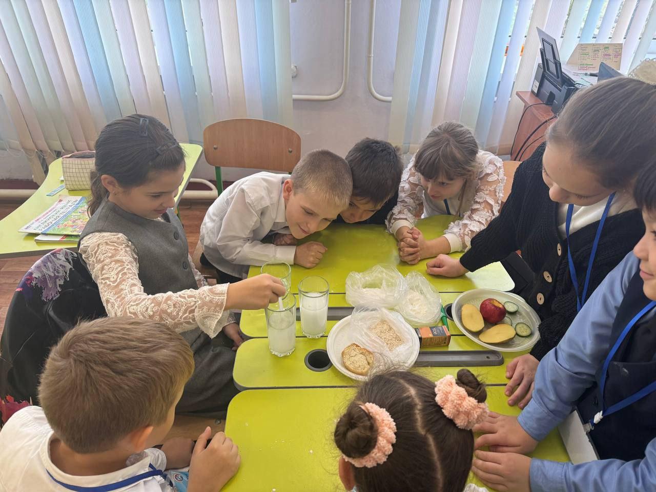 Увлекательный урок качества для третьеклассников: исследуем крахмал в продуктах питания