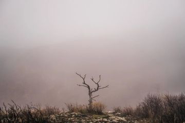 Прогноз погоды в Геническе на 18 ноября