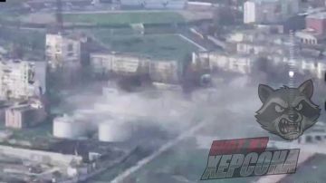 Енот из Херсона: Херсон, прибрежная зона. Продолжается вычисление и уничтожение нор, из которых недруги запускают БпЛА