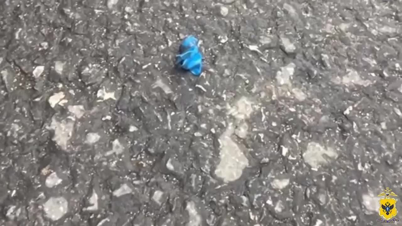 В отношении жителя Херсонской области возбуждено уголовное дело за хранение и перевозку наркотических средств