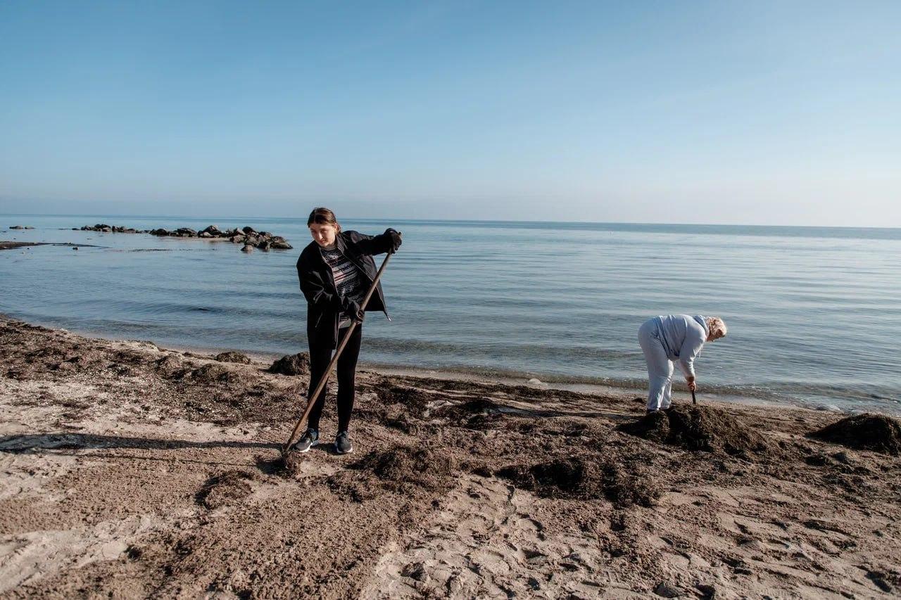 Шефы из Рязани поучаствовали в расчистке побережья в Геническе Шефы из Рязани поучаствовали в расчистке побережья в Геническе