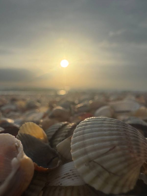 ����� ��������: ���-����, ���� �� ��� ���������!