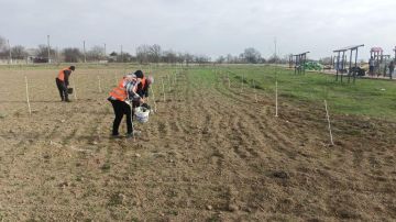 Администрация Генического округа информирует о работах по благоустройству