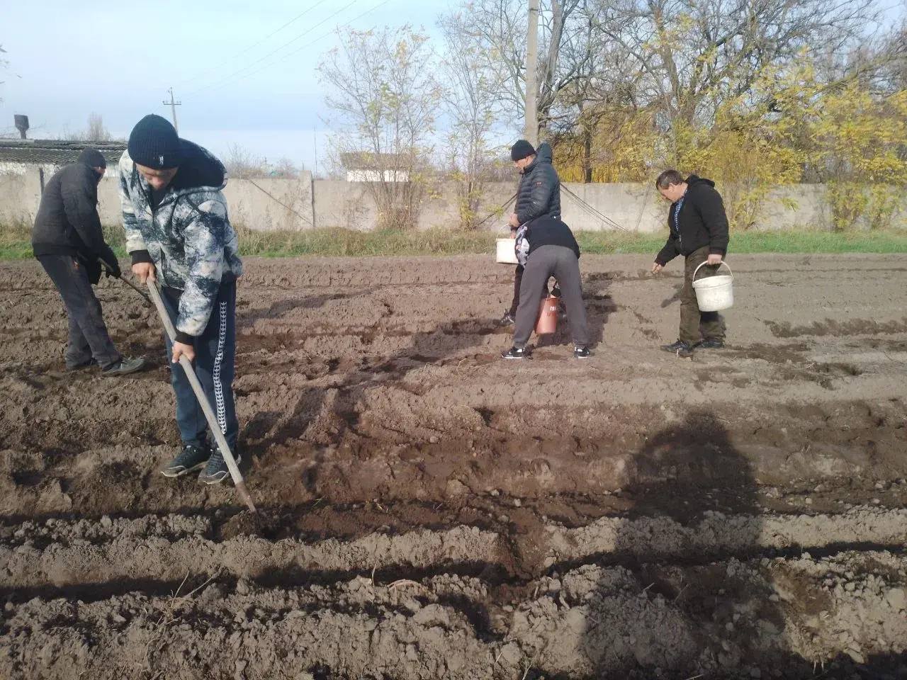 В Херсонской области засеяли 24 тысячи желудей для восстановления лесов В Херсонской области засеяли 24 тысячи желудей для восстановления лесов