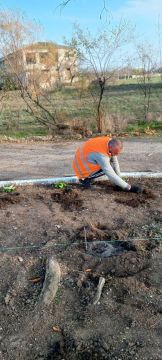 Аллея Славы в селе Червоное преобразилась благодаря общим усилиям