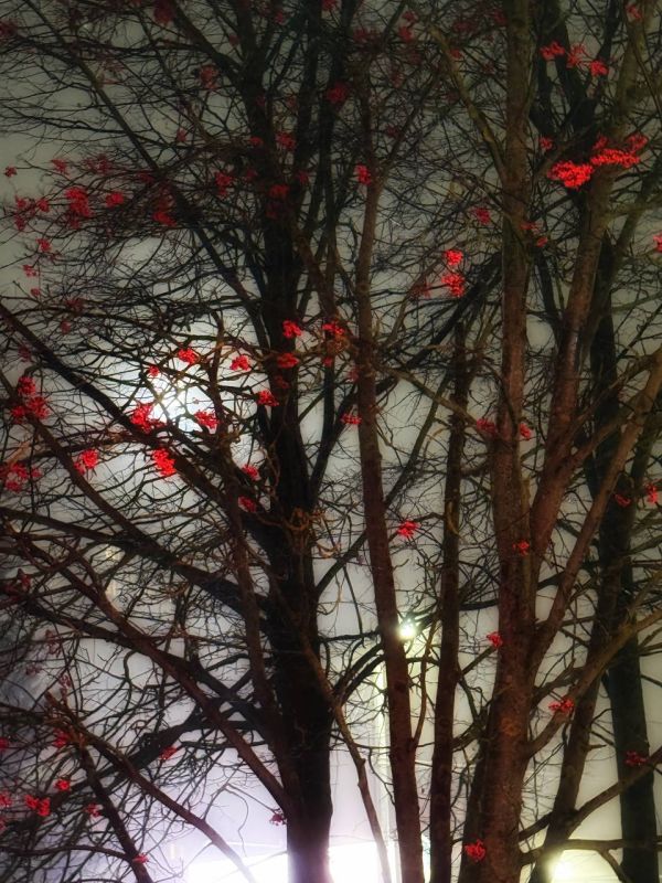 ���� ���������: ��� ��������, ����� �� ��������� ���� �������