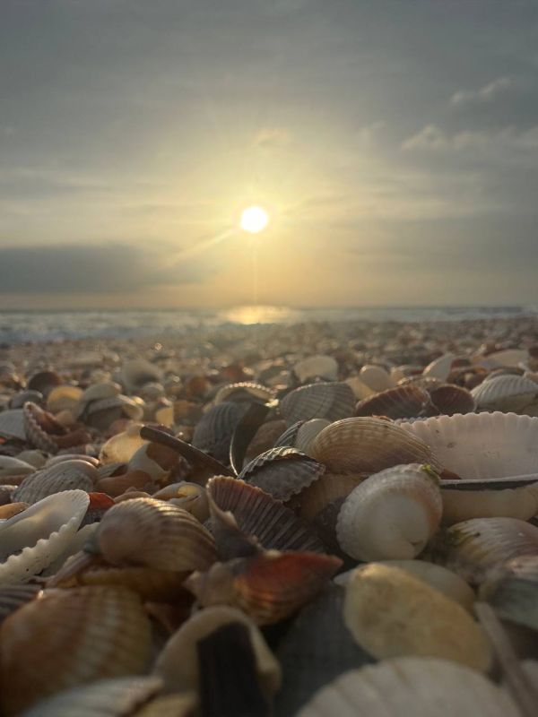 ����� ��������: ���-����, ���� �� ��� ���������!