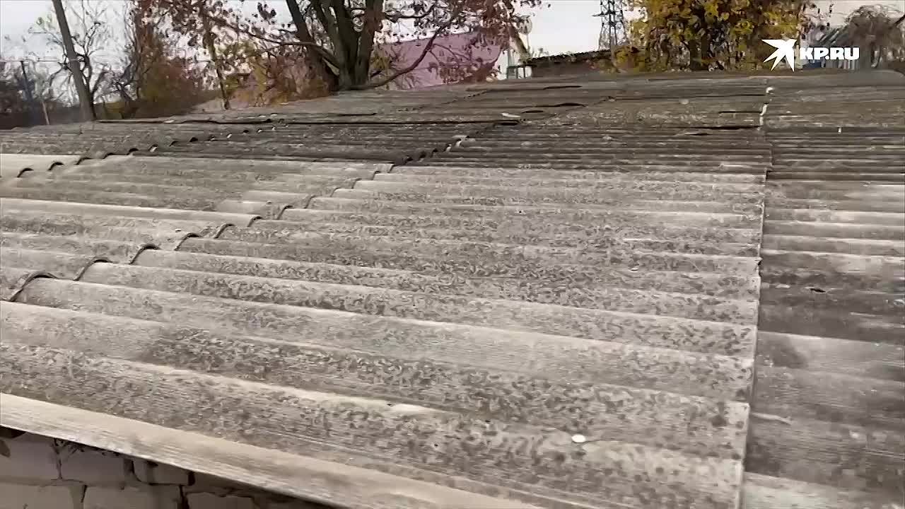 Херсонские студенты-волонтеры уехали помогать Курской области по велению сердца