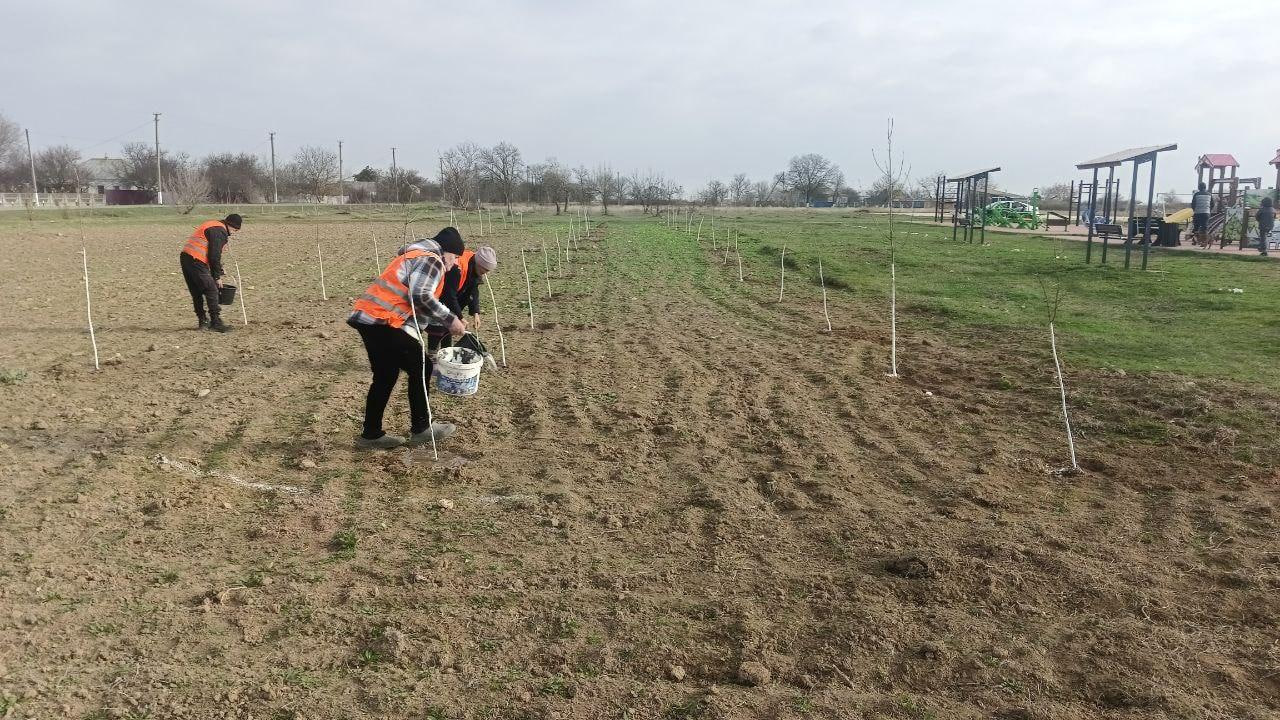 Администрация Генического округа информирует о работах по благоустройству