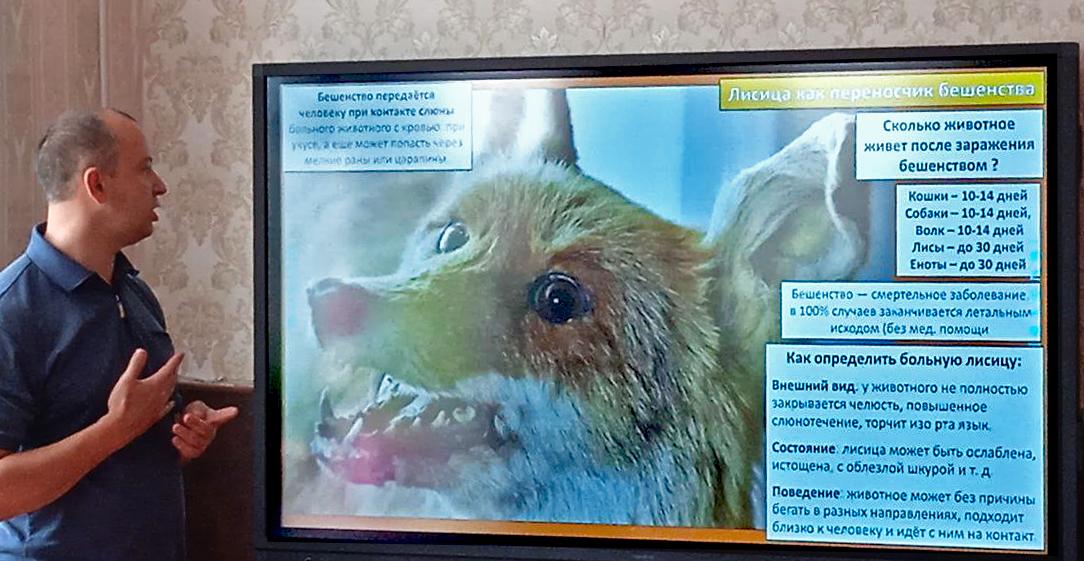 Специалисты Черноморского биосферного заповедника провели для школьников урок экологической безопасности Специалисты Черноморского биосферного заповедника провели для школьников урок экологической безопасности