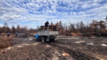 В Голопристанском лесхозе прошла проверка санитарных рубок