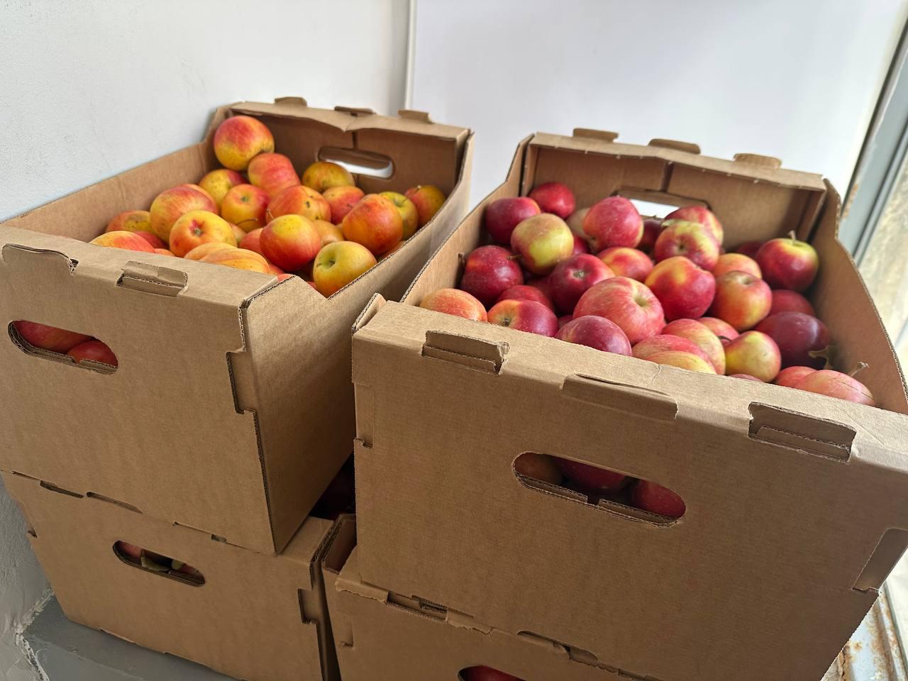 На Кубани подготовили подарки для детского сада Херсонской области На Кубани подготовили подарки для детского сада Херсонской области