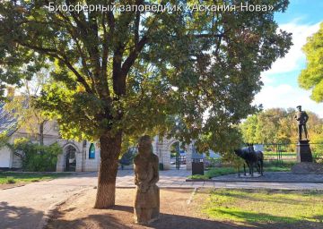 Итоги, которые вдохновляют: большие достижения маленьких помощников