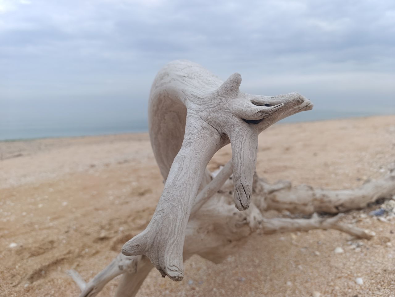 Администрация Генического муниципального округа желает всем доброго утра!